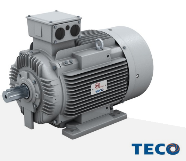 MOTOVARIO 铸铁电机 IEC AESV-AESU